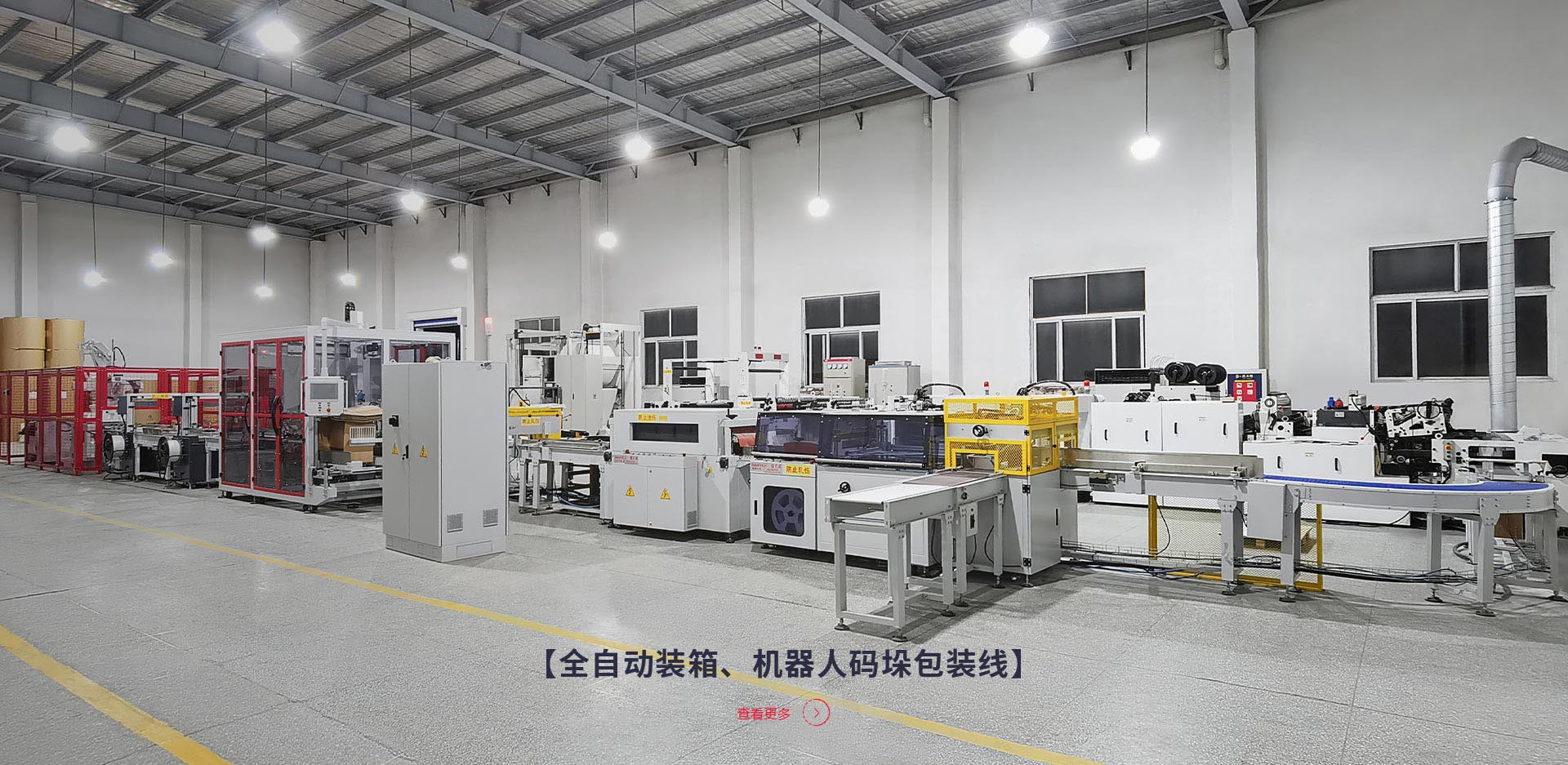 【全自動(dòng)裝箱、機(jī)器人碼垛包裝線(xiàn)】